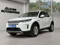 Land Rover Discovery Sport 1.Hand, Scheckheft Weiß - thumbnail 4