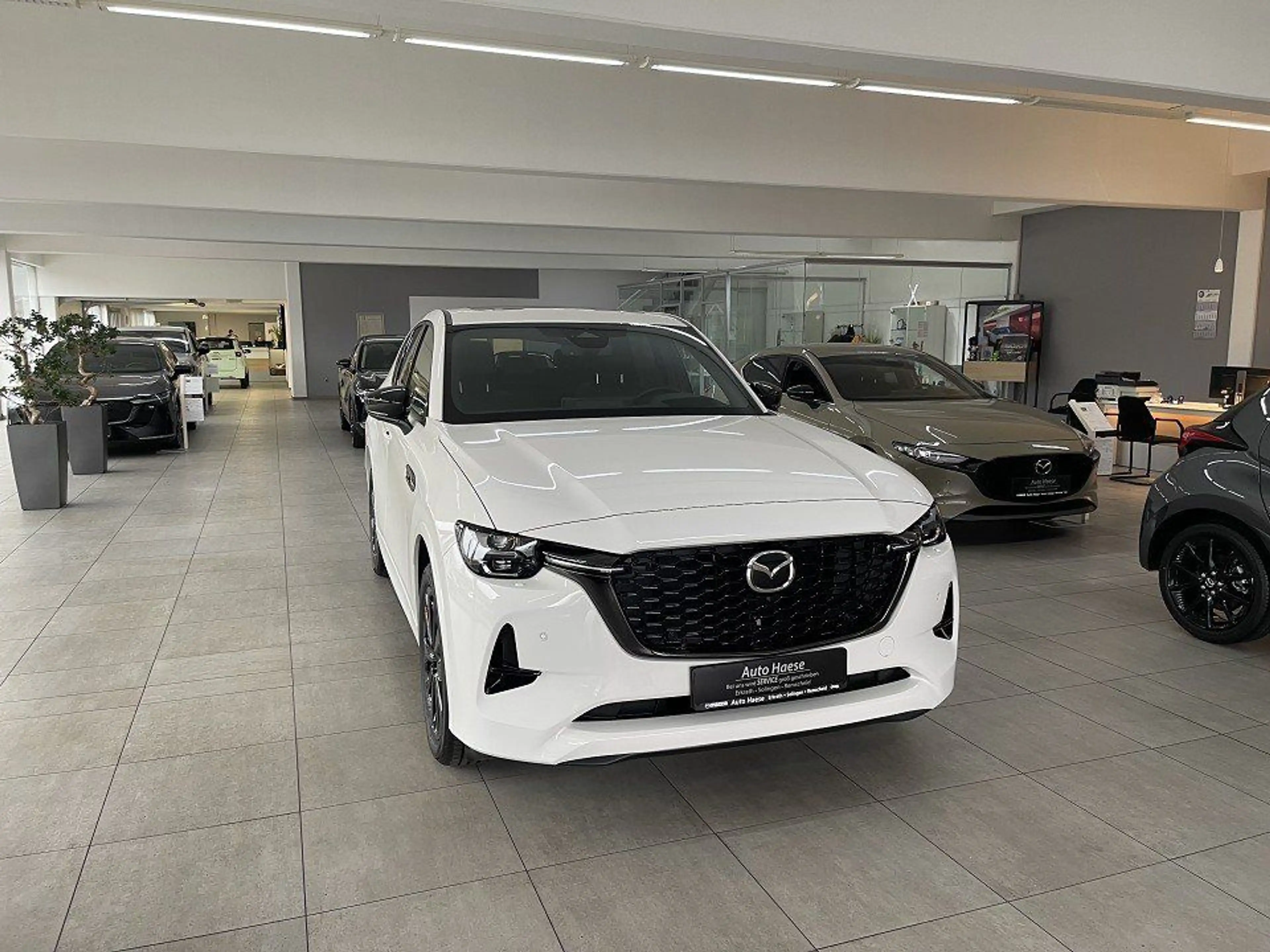 Mazda CX-60 3.3 254PS Homura Plus Pano 360° Matrix-Led