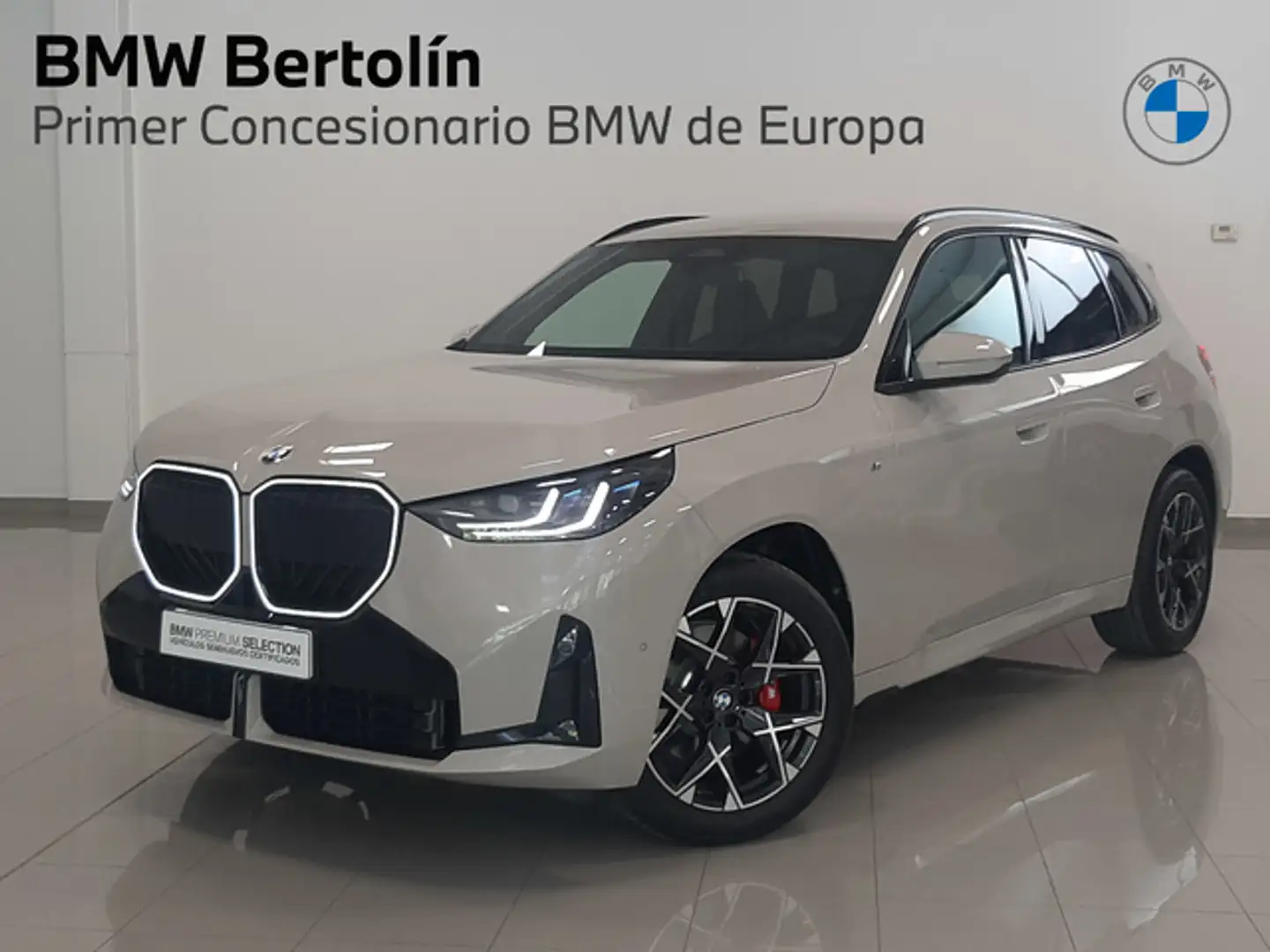 BMW X3 xDrive 20dA Grau - 1