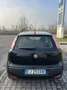 Fiat Punto Evo 5p 1.4 natural power 150th 70cv NEOPATENTATI - thumbnail 2