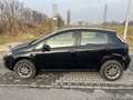 Fiat Punto Evo 5p 1.4 natural power 150th 70cv NEOPATENTATI - thumbnail 4