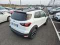 Ford EcoSport NEOPATENTATI 2018 1.0 ecoboost Active TG : GL343HV Weiß - thumbnail 8