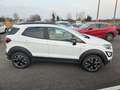 Ford EcoSport NEOPATENTATI 2018 1.0 ecoboost Active TG : GL343HV Weiß - thumbnail 6