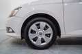 Skoda Fabia 1.0 MPI Ambition 44kW Weiß - thumbnail 11