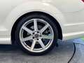 Mercedes-Benz C 350 I (C204) 350 Executive 7GTronic Bianco - thumbnail 28