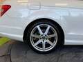 Mercedes-Benz C 350 I (C204) 350 Executive 7GTronic Bianco - thumbnail 27