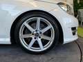 Mercedes-Benz C 350 I (C204) 350 Executive 7GTronic Bianco - thumbnail 29
