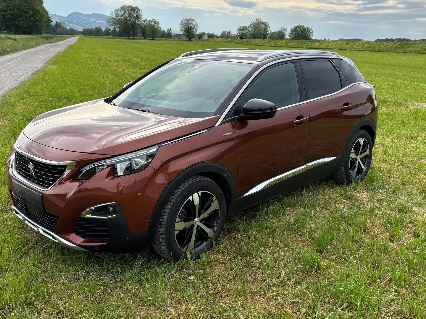 Peugeot 3008 3008 1,5 BlueHDi 130 GT-Line Braun - 1
