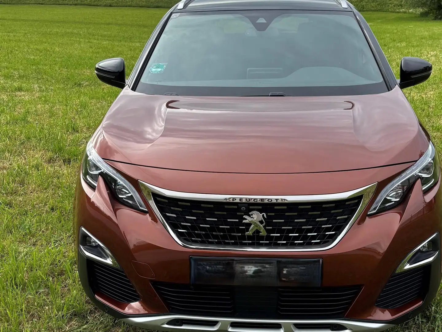 Peugeot 3008 3008 1,5 BlueHDi 130 GT-Line Braun - 2