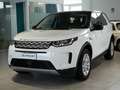 Land Rover Discovery Sport R-Dynamic SE 2.0 TD4 163cv 36 mesi garanzia bijela - thumbnail 1