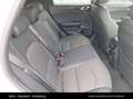 Kia XCeed /GOLD/1.0 TGDI 48V/DCT7/115/MY26 Weiß - thumbnail 26