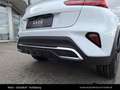 Kia XCeed /GOLD/1.0 TGDI 48V/DCT7/115/MY26 Weiß - thumbnail 15