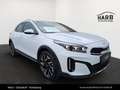 Kia XCeed /GOLD/1.0 TGDI 48V/DCT7/115/MY26 Weiß - thumbnail 4