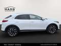 Kia XCeed /GOLD/1.0 TGDI 48V/DCT7/115/MY26 Weiß - thumbnail 9