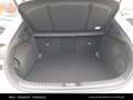 Kia XCeed /GOLD/1.0 TGDI 48V/DCT7/115/MY26 Weiß - thumbnail 13