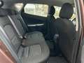 Kia Ceed / cee'd Edition 7 Braun - thumbnail 8
