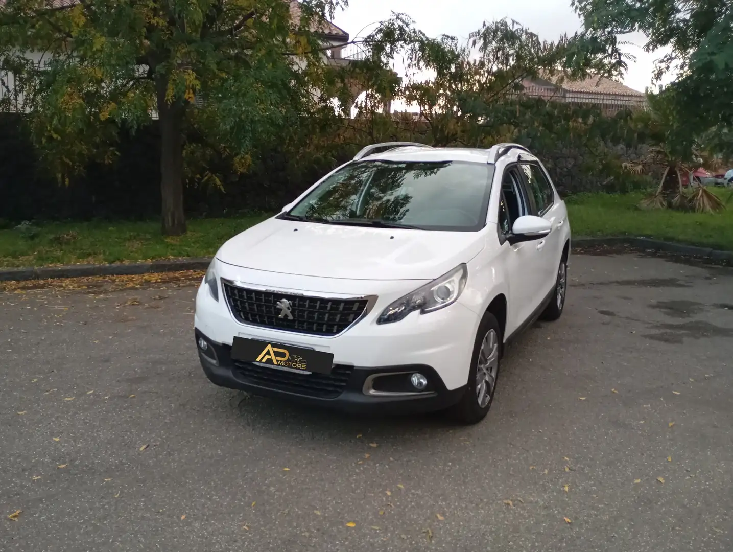 Peugeot 2008 1.6 bluehdi Active 100cv my16 - 1