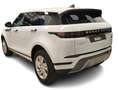 Land Rover Range Rover Evoque 2.0D I4 MHEV S AWD Aut. 163 Blanco - thumbnail 12