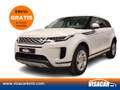 Land Rover Range Rover Evoque 2.0D I4 MHEV S AWD Aut. 163 Blanco - thumbnail 1