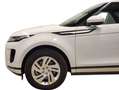 Land Rover Range Rover Evoque 2.0D I4 MHEV S AWD Aut. 163 Blanco - thumbnail 6
