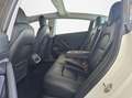 Tesla Model 3 Auto.P Pano GARANTIE Bianco - thumbnail 12