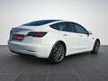 Tesla Model 3 Auto.P Pano GARANTIE Bianco - thumbnail 5