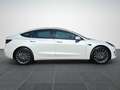 Tesla Model 3 Auto.P Pano GARANTIE Bianco - thumbnail 7