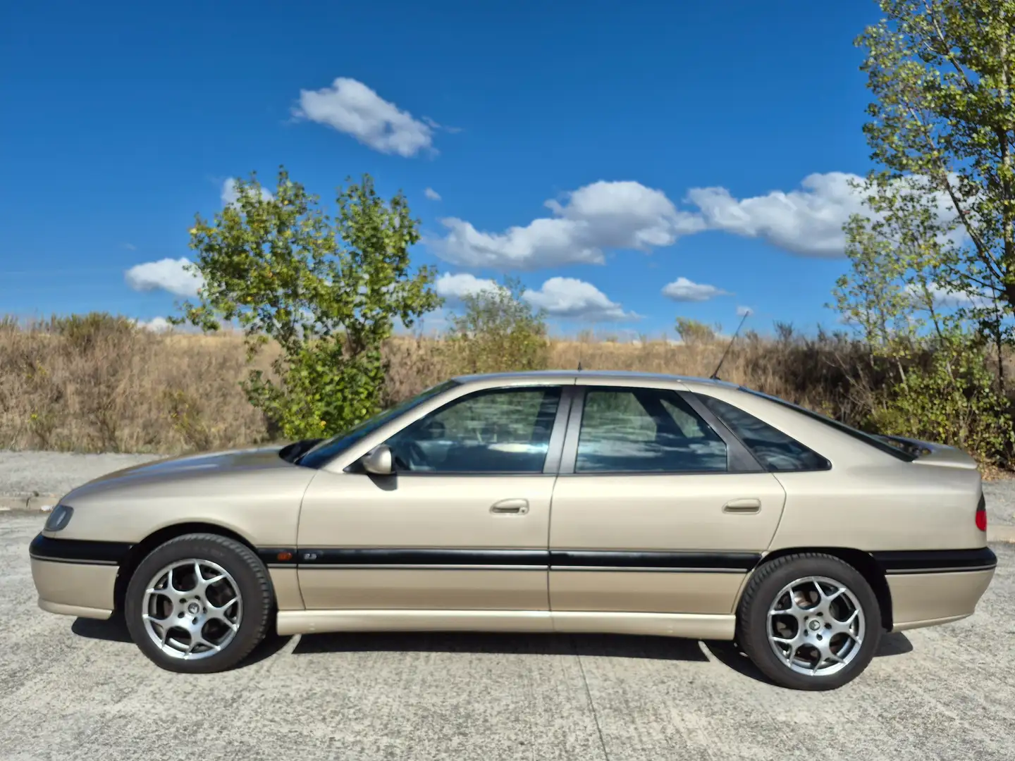 Renault Safrane Safrane 2.5 Si Si Bronz - 1