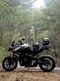 Triumph Trident 660 Grigio - thumbnail 4