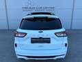 Ford Kuga 1,5 TDCi ST-Line LED / PANO-DACH / DIGI-TACHO Weiß - thumbnail 5
