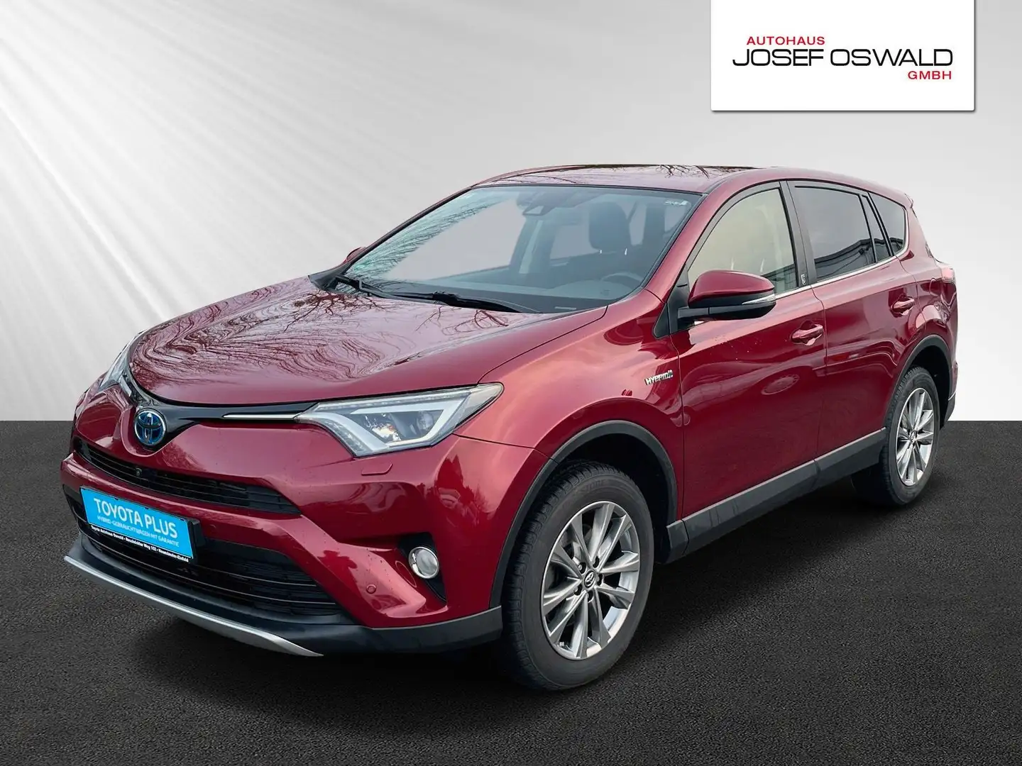 Toyota RAV 4 RAV4 Team D Rot - 1