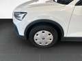 Audi Q2 30 TFSI 6-Gang /AHK/Standhz/Rückfahrkam/Navi Weiß - thumbnail 17