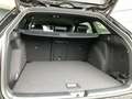 Volkswagen Golf Variant Sport mHeV DSG Schwarz - thumbnail 18