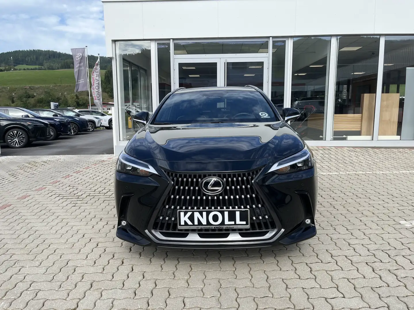 Lexus NX 350h NX 350 E-Four Executiveline AWD Schwarz - 2