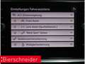 Volkswagen T-Roc 1.5 TSI DSG Sport NAVI KAMERA ACC Blanc - thumbnail 10