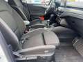 Ford Focus Turnier 1.5 Cool   Connect Kamera LED Blanc - thumbnail 16