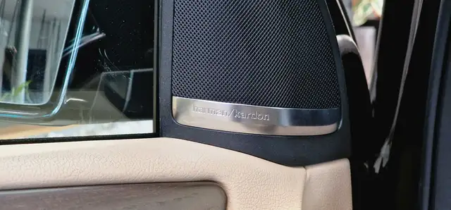 Mercedes-Benz Gle view 19