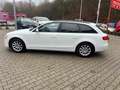 Audi A4 Attraction Automatik Weiß - thumbnail 8