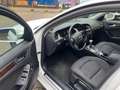 Audi A4 Attraction Automatik Weiß - thumbnail 14