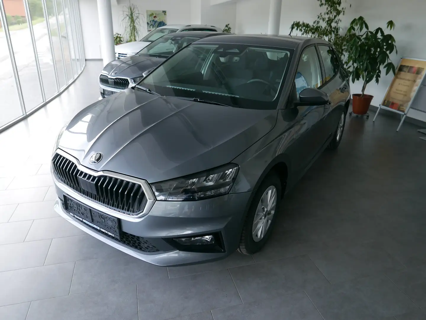 Skoda Fabia Selection Sitzh Lenkradh Rückfahrkam LED Grau - 1