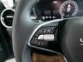 Skoda Fabia Selection Sitzh Lenkradh Rückfahrkam LED Grau - thumbnail 19