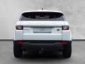 Land Rover Range Rover Evoque Pure 2,0 TD4 Aut. Blanc - thumbnail 5