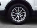 Land Rover Range Rover Evoque Pure 2,0 TD4 Aut. Blanc - thumbnail 6