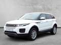 Land Rover Range Rover Evoque Pure 2,0 TD4 Aut. Blanc - thumbnail 1