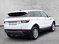 Land Rover Range Rover Evoque Pure 2,0 TD4 Aut. Blanc - thumbnail 4