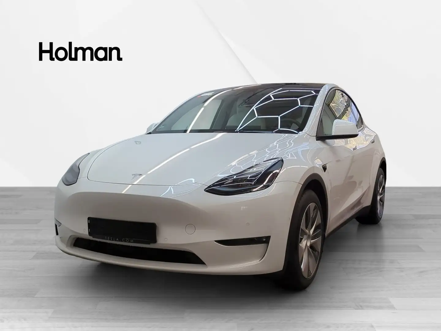 Tesla Model Y Long Range Dual AWD LED Navi GRA PDC Kamera SHZ Blanc - 1