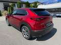 Mazda CX-30 G140 Exclusive-Line Automatik BOSE 360 Kamera Rot - thumbnail 2