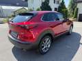Mazda CX-30 G140 Exclusive-Line Automatik BOSE 360 Kamera Rosso - thumbnail 3