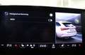 Skoda Octavia RS Virtual HUD ACC Canton LED DAB+ Blau - thumbnail 36
