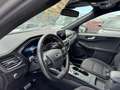 Ford Kuga Kuga III 2020 1.5 ecoblue ST-Line X 2wd 120cv auto Grau - thumbnail 15